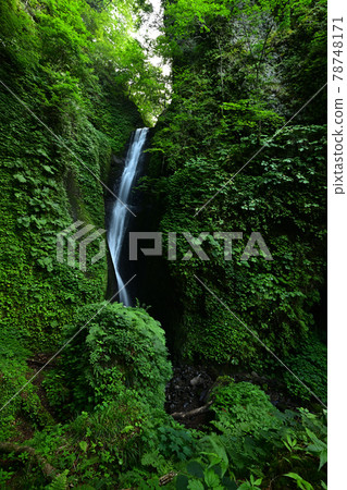 From Katsurano Falls 78748171