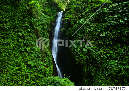 From Katsurano Falls From Katsurano Falls 78748172