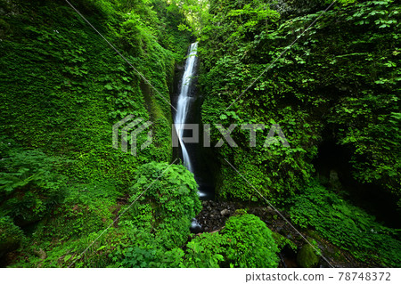 From Katsurano Falls From Katsurano Falls 78748372