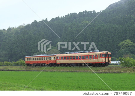 Isumi 鐵道 Kiha 52 / Kiha 28_202 1/6/6 拍攝 78749097