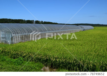 乙烯基房子和國家視圖 乙烯基房子和國家視圖 78749652