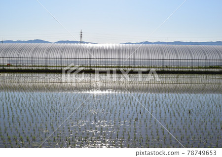 乙烯基房子和國家視圖 78749653