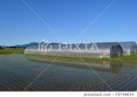乙烯基房子和國家視圖 乙烯基房子和國家視圖 78749654