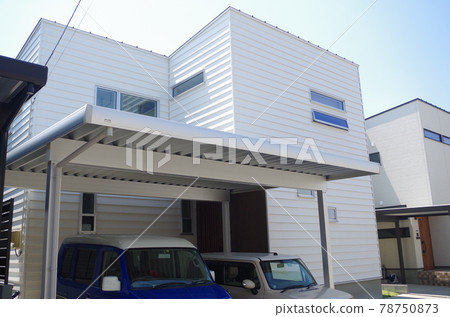 White house 78750873