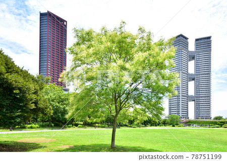福岡島城風景島城中央公園塔大廈 福岡島城風景島城中央公園塔大廈 78751199
