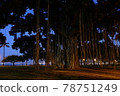 Banyan tree 78751249