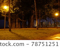 Banyan tree 78751251