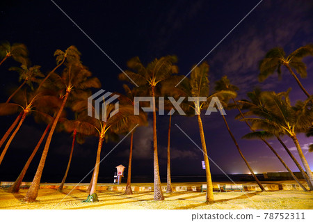 Night view of the seaside Night view of the seaside 78752311