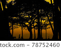 Beach at twilight 78752460
