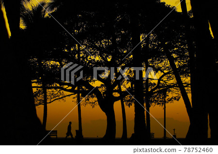 Beach at twilight Beach at twilight 78752460