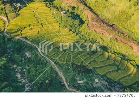 Aerial view of Nang Lae Nai Rice Terraces in Chiang Rai, Chiang Mai province, Thailand Aerial view of Nang Lae Nai Rice Terraces in Chiang Rai, Chiang Mai province, Thailand 78754703