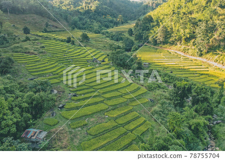 Aerial view of Nang Lae Nai Rice Terraces in Chiang Rai, Chiang Mai province, Thailand 78755704