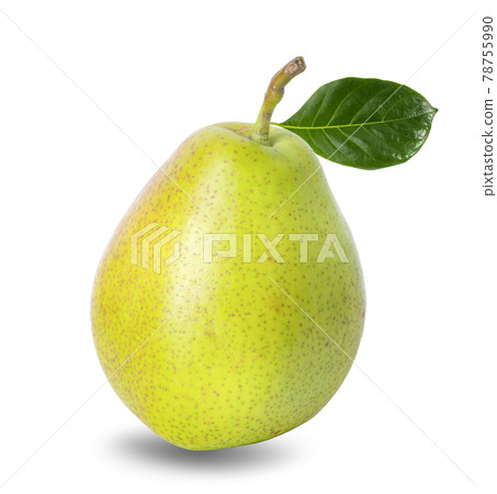 pears isolated on white background pears isolated on white background 78755990
