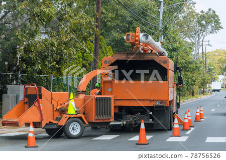Tree branches in the for chipping green growth on a to grinding machine Tree branches in the for chipping green growth on a to grinding machine 78756526