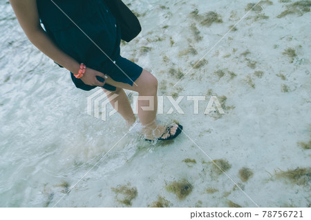 New Caledonia Snap 78756721