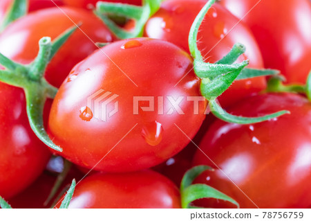新鮮成熟的櫻桃番茄 78756759