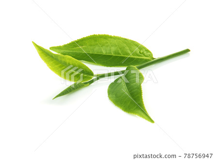 Green tea leaves isolated on white background 78756947