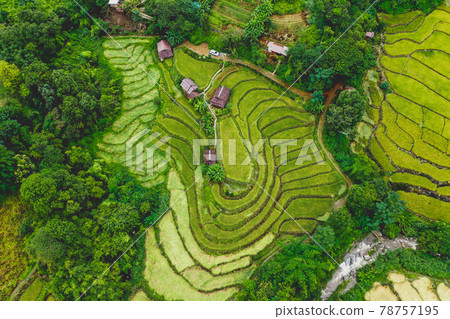 Rice Terraces in Doi inthanon national park in chiang Mai province, Thailand 78757195