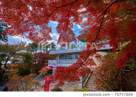 秋季茨城縣筑波山纜車宮脅站 秋季茨城縣筑波山纜車宮脅站 78757809