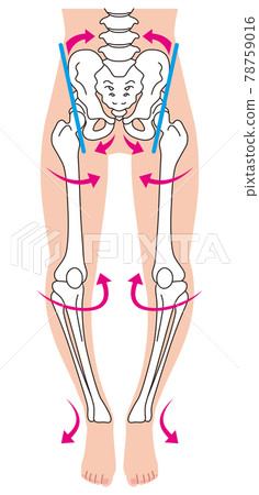 O型腿骨骼、骨盆扭曲、腿骨 O型腿骨骼、骨盆扭曲、腿骨 78759016