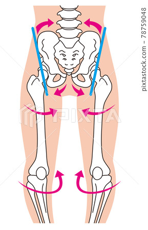 O型腿骨骼、骨盆扭曲、腿骨 78759048