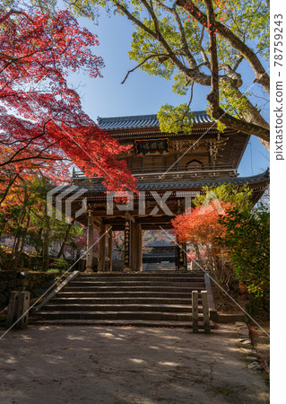 Kōsanji Kōsanji 78759243