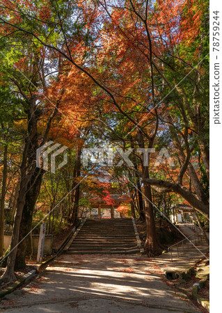 Kōsanji Kōsanji 78759244