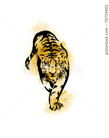 Hand drawn watercolor tiger Hand drawn watercolor tiger 78759402