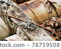 Timber tied with an iron knot. 78759508