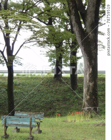 Park early autumn Park early autumn 78759519