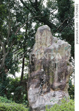 靜岡縣濱松市飯之屋的“地寶觀音石” 靜岡縣濱松市飯之屋的“地寶觀音石” 78759602