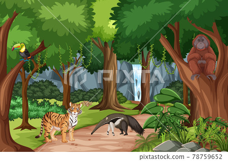 Forest scene with different wild animals Forest scene with different wild animals 78759652
