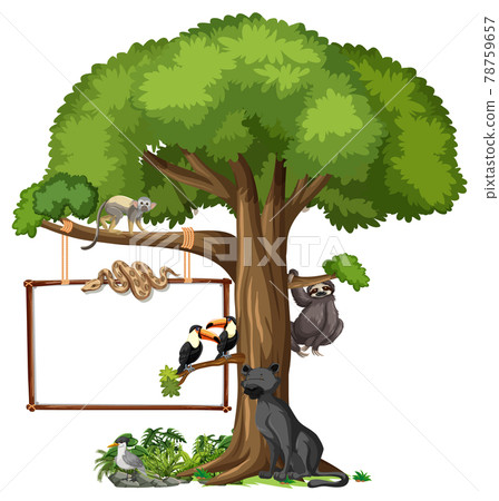 Empty banner with wild animals and rainforest trees on white background Empty banner with wild animals and rainforest trees on white background 78759657