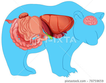 BR_nu_internal_BEAR-04.eps 78759659