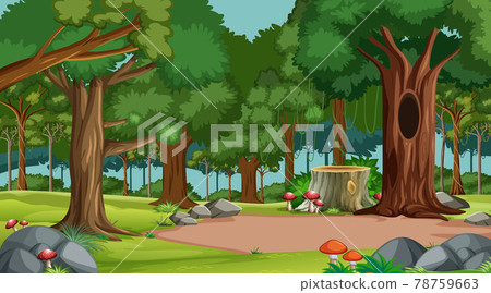 Forest scene with various forest trees Forest scene with various forest trees 78759663