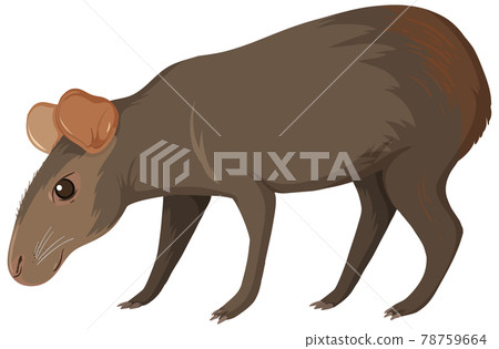 BR_nu_animals_new-23.eps BR_nu_animals_new-23.eps 78759664
