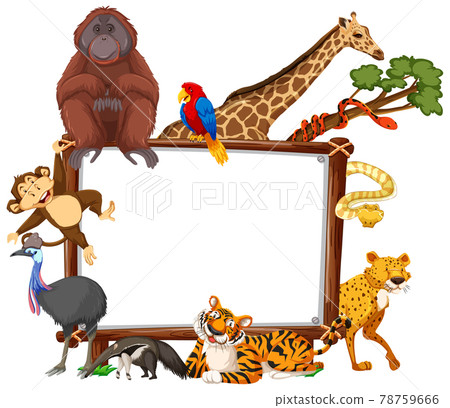 Empty banner with wild animals on white background Empty banner with wild animals on white background 78759666