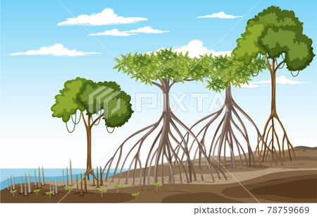 Nature scene with mangrove forest in cartoon style 78759669