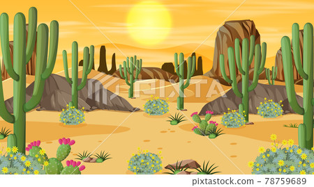 Desert forest landscape at sunset time scene with many cactuses Desert forest landscape at sunset time scene with many cactuses 78759689