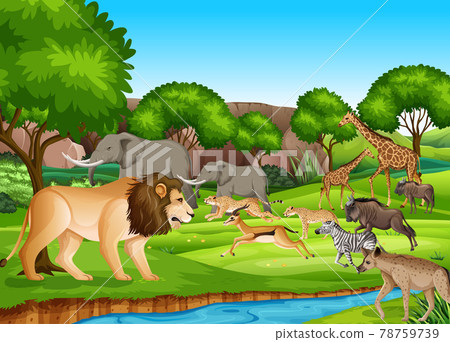Group of Wild African Animal in the forest scene Group of Wild African Animal in the forest scene 78759739