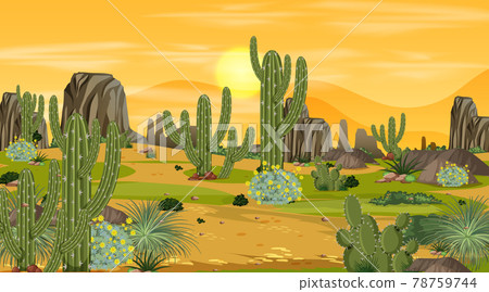 Desert forest landscape at sunset time scene with many cactuses Desert forest landscape at sunset time scene with many cactuses 78759744