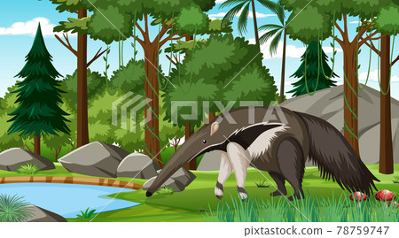 An anteater in forest scene with many trees An anteater in forest scene with many trees 78759747