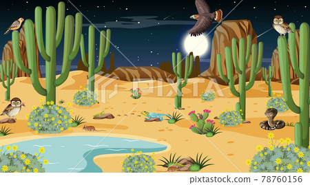 Desert forest landscape at night scene with desert animals and plants Desert forest landscape at night scene with desert animals and plants 78760156