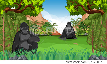 Gorilla in forest or rainforest scene with many trees 78760158