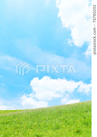 清新的藍天和白雲的草甸景觀 78760202
