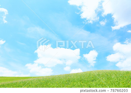 清新的藍天和白雲的草甸景觀 78760203