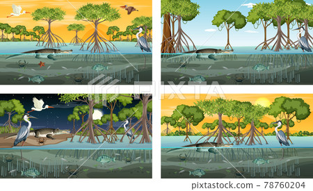 Different mangrove forest landscape scenes with various animals 78760204