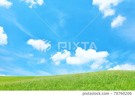 清新的藍天和白雲的草甸景觀 78760206