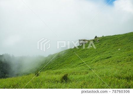 Raw stone plateau in early summer (overlooking the fire rocks of the morning mist) [Kimino Town, Wakayama Prefecture] 78760306