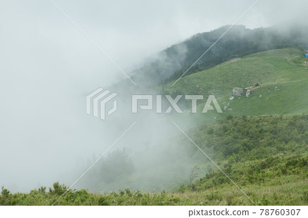初夏的原石高原（俯瞰晨霧的火岩）[和歌山縣公野町] 78760307